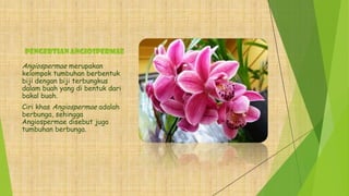 PENGERTIAN ANGIOSPERMAE
Angiospermae merupakan
kelompok tumbuhan berbentuk
biji dengan biji terbungkus
dalam buah yang di bentuk dari
bakal buah.
Ciri khas Angiospermae adalah
berbunga, sehingga
Angiospermae disebut juga
tumbuhan berbunga.
 