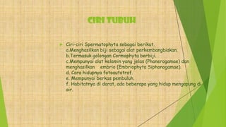 CIRI TUBUH
 Ciri-ciri Spermatophyta sebagai berikut.
a.Menghasilkan biji sebagai alat perkembangbiakan.
b.Termasuk golongan Cormophyta berbiji.
c.Mempunyai alat kelamin yang jelas (Phanerogamae) dan
menghasilkan embrio (Embriophyta Siphonogamae).
d. Cara hidupnya fotoautotrof.
e. Mempunyai berkas pembuluh.
f. Habitatnya di darat, ada beberapa yang hidup mengapung di
air.
 