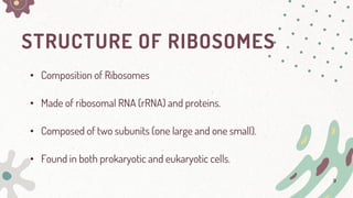 group 3-1.pdf ribosomes and it's explaination | PDF