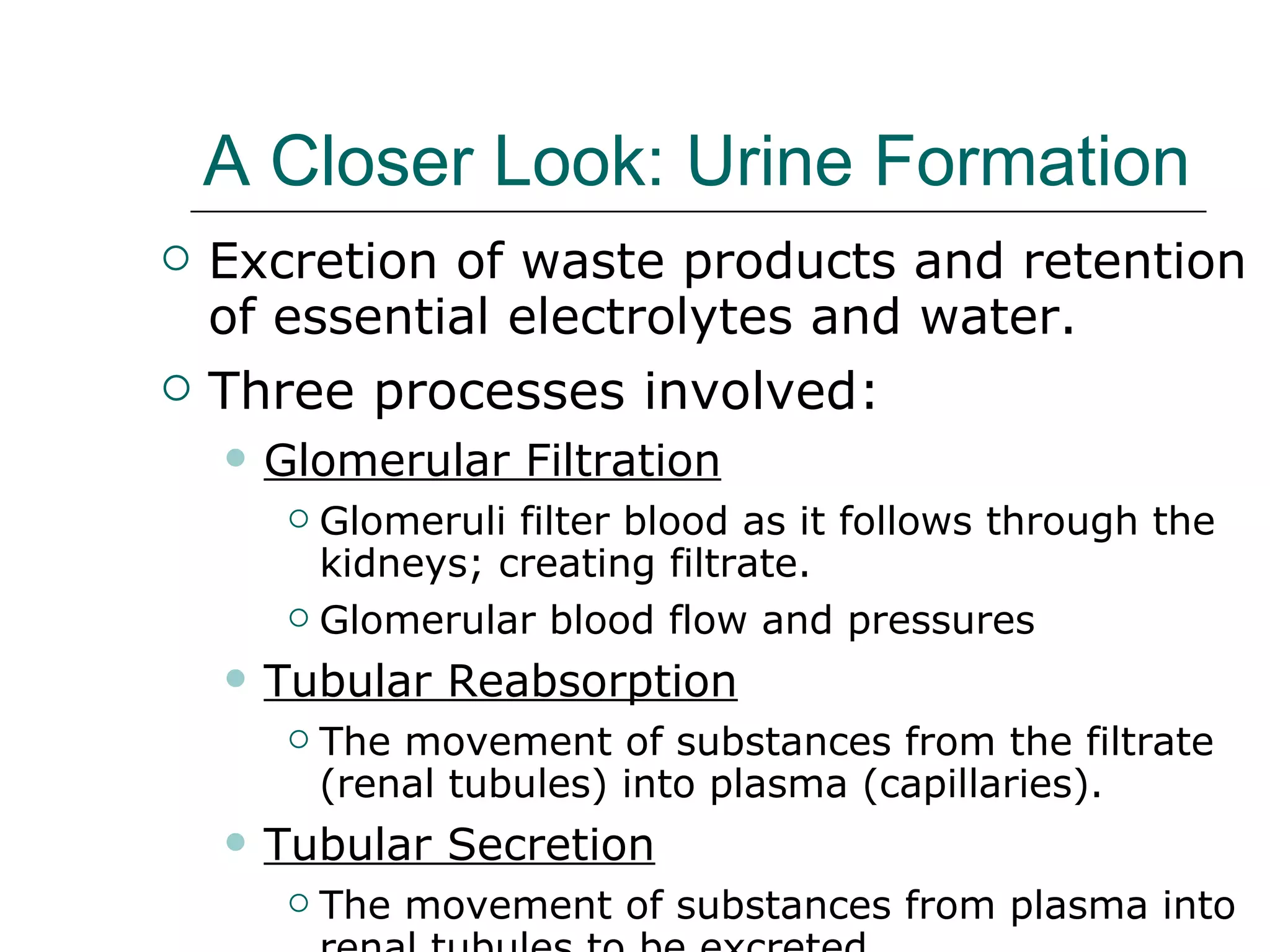 A Closer Look: Urine Formation   Excretion of waste products and retention of essential electrolytes and water . Three processes involved:  Glomerular Filtration Glomeruli filter blood as it follows through the kidneys; creating filtrate. Glomerular blood flow and pressures Tubular Reabsorption The movement of substances from the filtrate (renal tubules) into plasma (capillaries). Tubular Secretion The movement of substances from plasma into renal tubules to be excreted. 