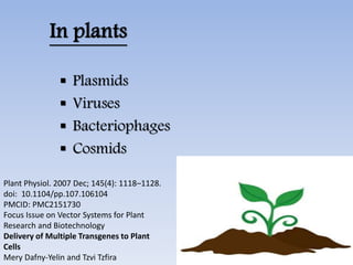 In plants
 Plasmids
 Viruses
 Bacteriophages
 Cosmids
Plant Physiol. 2007 Dec; 145(4): 1118–1128.
doi: 10.1104/pp.107.106104
PMCID: PMC2151730
Focus Issue on Vector Systems for Plant
Research and Biotechnology
Delivery of Multiple Transgenes to Plant
Cells
Mery Dafny-Yelin and Tzvi Tzfira
 