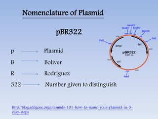 Nomenclature of Plasmid
pBR322
p Plasmid
B Boliver
R Rodriguez
322 Number given to distinguish
http://blog.addgene.org/plasmids-101-how-to-name-your-plasmid-in-3-
easy-steps
 