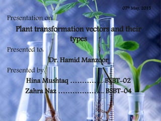 Presentation on:
Plant transformation vectors and their
types
Presented to:
Dr. Hamid Manzoor
Presented by:
Hina Mushtaq …………... BSBT-02
Zahra Naz ……………….. BSBT-04
07th May, 2015
 
