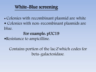 White-Blue screening
 Colonies with recombinant plasmid are white
 Colonies with non-recombinant plasmids are
blue.
For example: pUC19
Resistance to ampicilline.
Contains portion of the lacZ which codes for
beta-galactosidase.
 