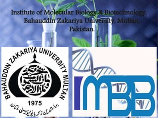 Institute of Molecular Biology & Biotechnology,
Bahauddin Zakariya University, Multan,
Pakistan.
 