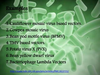 Examples
1.Cauliflower mosaic virus based vectors.
2.Cowpea mosaic virus
3.Bean pod mottle virus (BPMV)
4.TMV based vectors.
5.Potato virus X (PVX)
6.Bean yellow dwarf virus
7.Bacteriophage Lambda Vectors
http://www.ncbi.nlm.nih.gov/pmc/articles/PMC2613721/
 