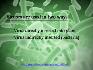 Viruses are used in two ways
–Virus directly inserted into plant
–Virus indirectly inserted (bacteria)
http://www.ncbi.nlm.nih.gov/pubmed/12828943
 