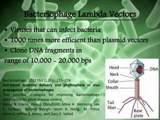 Bacteriophage Lambda Vectors
 Viruses that can infect bacteria
 1000 times more efficient than plasmid vectors
 Clone DNA fragments in
range of 10,000 - 20,000 bps
Bacteriophage. 2012 Oct 1; 2(4): 215–224.
Soil-based systemic delivery and phyllosphere in vivo
propagation of bacteriophages
Two possible strategies for improving bacteriophage
persistence for plant disease control
Fanny B. Iriarte, Aleksa Obradović, Mine H. Wernsing, Lee
E. Jackson, Botond Balogh, Jason A. Hong, M. Timur
Momol, Jeffrey B. Jones, and Gary E. Vallad
 