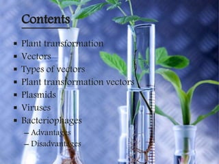 Contents
 Plant transformation
 Vectors
 Types of vectors
 Plant transformation vectors
 Plasmids
 Viruses
 Bacteriophages
– Advantages
– Disadvantages
 
