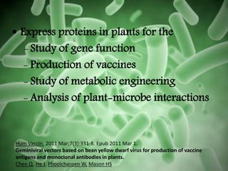  Express proteins in plants for the
- Study of gene function
- Production of vaccines
- Study of metabolic engineering
- Analysis of plant-microbe interactions
Hum Vaccin. 2011 Mar;7(3):331-8. Epub 2011 Mar 1.
Geminiviral vectors based on bean yellow dwarf virus for production of vaccine
antigens and monoclonal antibodies in plants.
Chen Q, He J, Phoolcharoen W, Mason HS
 