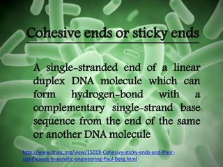 Cohesive ends or sticky ends
A single-stranded end of a linear
duplex DNA molecule which can
form hydrogen-bond with a
complementary single-strand base
sequence from the end of the same
or another DNA molecule
http://www.dnalc.org/view/15019-Cohesive-sticky-ends-and-their-
significance-in-genetic-engineering-Paul-Berg.html
 