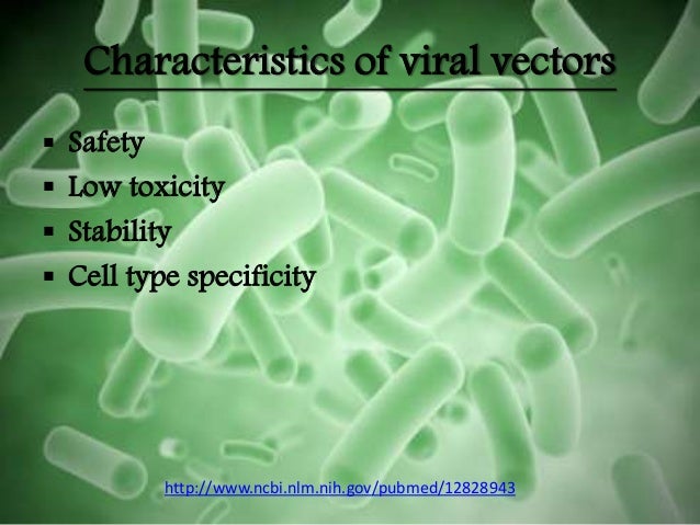 Plant transformation vectors and their types