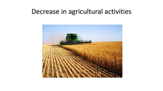 Decrease in agricultural activities
 