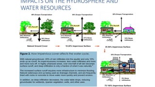 IMPACTS ON THE HYDROSPHERE AND
WATER RESOURCES
 