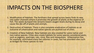 IMPACTS ON THE BIOSPHERE
1. Modification of Habitats The fertilizers that spread across lawns finds its way
into water channels where it promotes the growth of plants at the expense of
fish. The waste dumped into streams lowers oxygen levels during its decay and
cause the die-off of plants and animals.
2. Destruction of Habitats There is also complete eradication of habitats as an
outcome of urbanization and native species are pushed out of cities.
3. Creation of New Habitats New habitats are also created for some native and
non-native species. Cities also create habitats for some species considered pests,
such as pigeons, sparrows, rats, mice, flies and mosquitoes. Urbanization has,
for example, eliminated many bat colonies in caves, but has provided sites such
as bridges for these species to nest
21/01/16
 