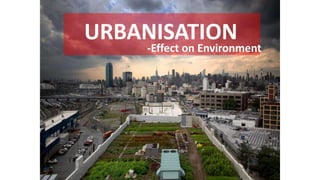 URBANISATION
-Effect on Environment
 