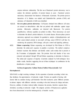 enzyme–substrate relationship. The ﬁrst use of functional protein microarray was to
analyze the substrate speciﬁcity of protein kinases in yeast . Functional protein
microarray characterized the functions of thousands of proteins. The protein–protein
interaction of A. thaliana was studied and Calmodulin-like proteins (CML) and
substrates of Calmodulin (CaM) were identiﬁed.
4.2.1.3. Reverse-phase protein microarray: Cell lysates obtained from different cell states
are arrayed on nitrocellulose slide that are probed with antibodies against target
proteins. Afterwards, antibodies are detected with ﬂuorescent. For protein
quantiﬁcation, reference peptides are printed on slides. These microarrays are used
to determine the altered protein indicative of a certain disease. Reverse-phase protein
microarray approach was evaluated for quantitative analysis of phosphoproteins and
other cancer-related proteins in non-small cell lung cancer (NSCLC) cell lines by
monitoring the apoptosis, DNA damage, cell-cycle control and signaling pathways.
4.2.2. Edman sequencing: Edman sequencing was developed by Pehr Edman in 1950 to
determine the amino-acid sequence in peptides or proteins. The method comprises
chemical reactions that eliminate and identify amino acids residue that is present at
the N-terminus of polypeptide chain. The proteins from leaf sheaths of rice were
extracted and analyzed through MS and Edman sequencing to determine its function.
The amino-acid sequence of majority of proteins analyzed by both techniques have
similar results, therefore suggesting the use of these techniques in combination for the
identiﬁcation of plant protein.
Gel-based approaches Sodium Dodecyl Sulfate-Polyacrylamide Gel
Electrophoresis:
SDS-PAGE is a high resolving technique for the separation of proteins according to their size,
thus facilitates the approximation of molecular weight. Proteins are capable of moving with
electric ﬁeld in a medium having a pH dissimilar from their isoelectric point. Different proteins
in mixture migrate with different velocities according to the ratio between its charge and mass.
However, addition of sodium dodecyl sulfate denatures the proteins, therefore separate them
absolutely according to molecular weight. The antigenic proteins of Streptococcus agalactiae
have been characterized to test the immunogenicity of mastitis vaccine.
 
