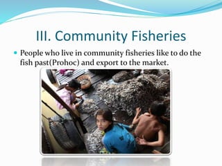 III. Community Fisheries
 People who live in community fisheries like to do the
fish past(Prohoc) and export to the market.
 