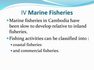 IV Marine Fisheries
Marine fisheries in Cambodia have
been slow to develop relative to inland
fisheries.
Fishing activities can be classified into :
 coastal fisheries
 and commercial fisheries.
 