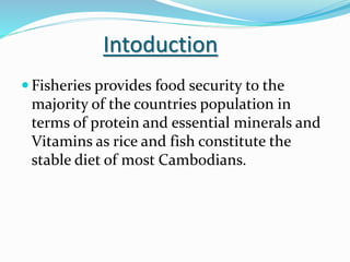 Intoduction
 Fisheries provides food security to the
majority of the countries population in
terms of protein and essential minerals and
Vitamins as rice and fish constitute the
stable diet of most Cambodians.
 