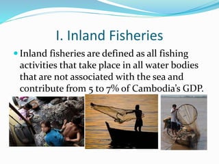 I. Inland Fisheries
 Inland fisheries are defined as all fishing
activities that take place in all water bodies
that are not associated with the sea and
contribute from 5 to 7% of Cambodia’s GDP.
 