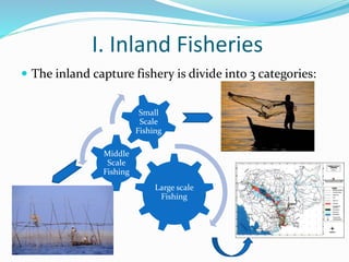 I. Inland Fisheries
 The inland capture fishery is divide into 3 categories:
Large scale
Fishing
Middle
Scale
Fishing
Small
Scale
Fishing
 
