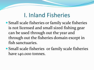 I. Inland Fisheries
 Small scale fisheries or family scale fisheries
is not licensed and small sized fishing gear
can be used through out the year and
through out the fisheries domain except in
fish sanctuaries.
 Small scale fisheries or family scale fisheries
have 140.000 tonnes.
 