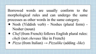 Conform Noun Group 3 - Morphology_ The Structure of Words.pptx