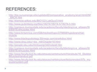 REFERENCES:
http://bio.sunyorange.edu/updated2/comparative_anatomy/anat.html2/M
_BACK.htm
http://klemow.wilkes.edu/BIO122-LabQuiz3.html
http://www.gutenberg.org/files/18274/18274-h/18274-h.htm
http://campus.murraystate.edu/academic/faculty/tderting/cva_atlases/W
EBSITE/dmuscles.html
http://www.britannica.com/EBchecked/topic/279858/hypobranchial-
muscle
http://www.blackspvbiology.50megs.com/sharkdiss.html
http://www.shsu.edu/~bio_mlt/Chapter10.html
http://people.eku.edu/ritchisong/342notes6.htm
http://campus.murraystate.edu/academic/faculty/tderting/cva_atlases/W
EBSITE/dmuscles.html
http://www.faculty.biol.ttu.edu/strauss/vertstructure/Handouts/10_Skeleta
lMusclesHandout.pdf
http://www.faculty.biol.ttu.edu/strauss/vertstructure/lecturenotes/07b_mu
scularsystem.pdf
 
