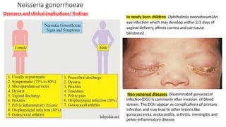 Comprehensive Overview of Bacterial Sexually Transmitted Infections and ...