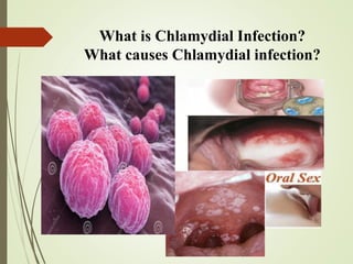 Microbiology.pptx