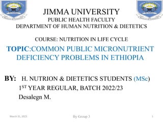 JIMMA UNIVERSITY
PUBLIC HEALTH FACULTY
DEPARTMENT OF HUMAN NUTRITION & DIETETICS
COURSE: NUTRITION IN LIFE CYCLE
TOPIC:COMMON PUBLIC MICRONUTRIENT
DEFICIENCY PROBLEMS IN ETHIOPIA
BY: H. NUTRION & DIETETICS STUDENTS (MSc)
1ST YEAR REGULAR, BATCH 2022/23
Desalegn M.
1
By Group 3
March 31, 2023
 