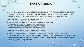 FASTA FORMAT
FASTA FORMAT IS USED TO REPRESENT EITHER NUCLEOTIDE OR PEPTIDE SEQUENCES.
THE FIRST LINE IS A COMMENT LINE, BEGINNING WITH “>” AND DESCRIBING THE
SEQUENCE. ALL THE FOLLOWING LINES ARE THE SEQUENCE, IN PLAIN TEXT.
EXAMPLE DNA SEQUENCE IN FASTA FORMAT:
 >GI|23423|REF|NM_23542.0| HOMO SAPIENS PROTEIN
ATGAATCGATACGATAGCTAGCTATCGATGCA
GATCAGAGAGGGGCTTTAGCTAGCTAAGCTAG
EXAMPLE PROTEIN SEQUENCE IN FASTA FORMAT:
 >MCHU - CALMODULIN - HUMAN, RABBIT, BOVINE, RAT, AND CHICKEN
ADQLTEEQIAEFKEAFSLFDKDGDGTITTKELGTVMRSLGQNPTEAELQDMINEVDADGNGTID
FPEFLTMMARKMKDTDSEEEIREAFRVFDKDGNGYISAAELRHVMTNLGEKLTDEEVDEMIREA
DIDGDGQVNYEEFVQMMTAK*
 