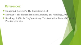 Comprehensive Overview of the Brainstem: Anatomy, Functions, and ...