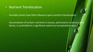 • Nutrient Translocation
- Humidity levels have little influence upon nutrient translocation.
- Accumulation of certain nutrients in tissues, particularly in calcium and
boron, is controlled to a significant extent by transpiration rates.
 