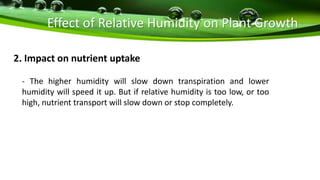 Effect of Relative Humidity on Plant Growth
2. Impact on nutrient uptake
- The higher humidity will slow down transpiration and lower
humidity will speed it up. But if relative humidity is too low, or too
high, nutrient transport will slow down or stop completely.
 
