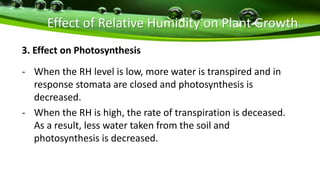 Effect of Relative Humidity on Plant Growth
- When the RH level is low, more water is transpired and in
response stomata are closed and photosynthesis is
decreased.
- When the RH is high, the rate of transpiration is deceased.
As a result, less water taken from the soil and
photosynthesis is decreased.
3. Effect on Photosynthesis
 