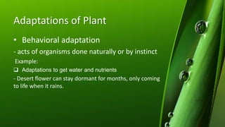 Adaptations of Plant
• Behavioral adaptation
- acts of organisms done naturally or by instinct
Example:
 Adaptations to get water and nutrients
- Desert flower can stay dormant for months, only coming
to life when it rains.
 