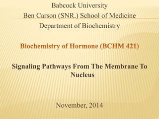 Babcock University
Ben Carson (SNR.) School of Medicine
Department of Biochemistry
Signaling Pathways From The Membrane To
Nucleus
November, 2014
 