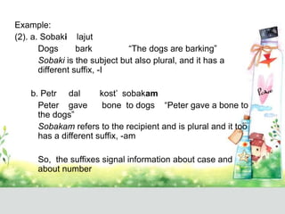 Example:
(2). a. Sobaki lajut
Dogs bark “The dogs are barking”
Sobaki is the subject but also plural, and it has a
different suffix, -I
b. Petr dal kost’ sobakam
Peter gave bone to dogs “Peter gave a bone to
the dogs”
Sobakam refers to the recipient and is plural and it too
has a different suffix, -am
So, the suffixes signal information about case and
about number
 