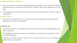 Location of Ponds in a Hatchery
 The area closest to the hatchery building should be planned for water treatment, (filtration,
sedimentation units, aeration tower) laboratory, hatchery office and residential area for the
staff.
 This arrangement will place the nurseries closest to the hatchery proper, which is a logical
arrangement.
Hatchery Proper:
 The main unit of a hatchery. It is a system composed of holding tanks, breeding tanks,
hatching jars and larvae rearing tanks.
a)Holding tanks
 The primary purpose of a holding tank is to hold ripe breeders before hypophysation, and
before spawning.
 The holding-tanks must be at least two in number, one for each sex of a species of fish in
the smallest hatchery.
 A 200 m sq or 450 m sq.(10 m x 20 m or 15 m x 30 m) ante-tank of 1.0 to 1.5 m depth can
hold 25-50 sets of brood fish
 