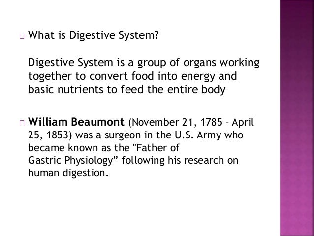 Comparative Anatomy Digestive System
