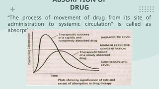 Group 4 - Drug Absorption.pptxaaaaaaaaaaaaa | PPTX