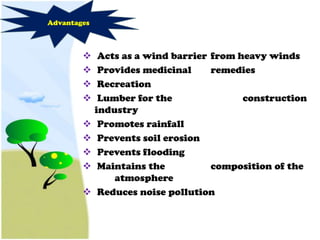 Advantages



             Acts as a wind barrier from heavy winds
             Provides medicinal     remedies
             Recreation
             Lumber for the               construction
             industry
             Promotes rainfall
             Prevents soil erosion
             Prevents flooding
             Maintains the          composition of the
                 atmosphere
             Reduces noise pollution
 