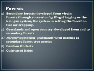 2) Secondary forests- developed from virgin
   forests through succession by illegal logging or the
   kaingan system, the system in setting the forest on
   fire for cropping.
3) Grasslands and open country- developed from and to
   secondary forests
4) Parang vegetation- grasslands with patches of
   secondary forest tree species
5) Bamboo thickets
6) Cultivated fields
 