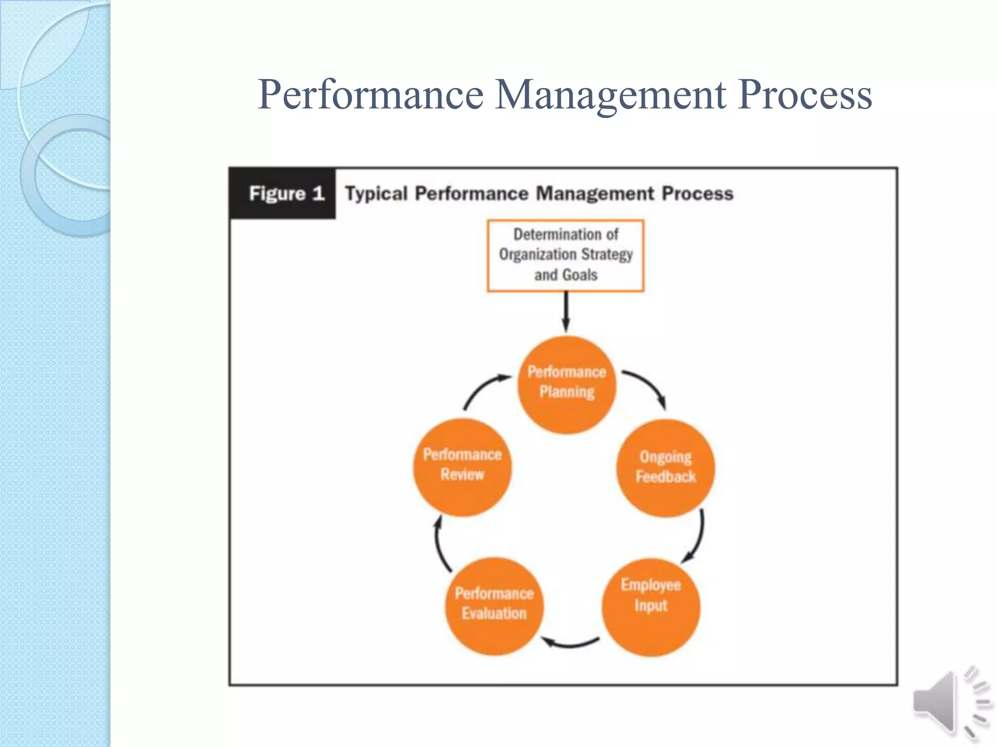 Performance Management Process 