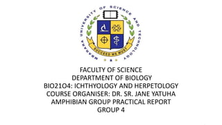 FACULTY OF SCIENCE
DEPARTMENT OF BIOLOGY
BIO21O4: ICHTHYOLOGY AND HERPETOLOGY
COURSE ORGANISER: DR. SR. JANE YATUHA
AMPHIBIAN GROUP PRACTICAL REPORT
GROUP 4
.
 
