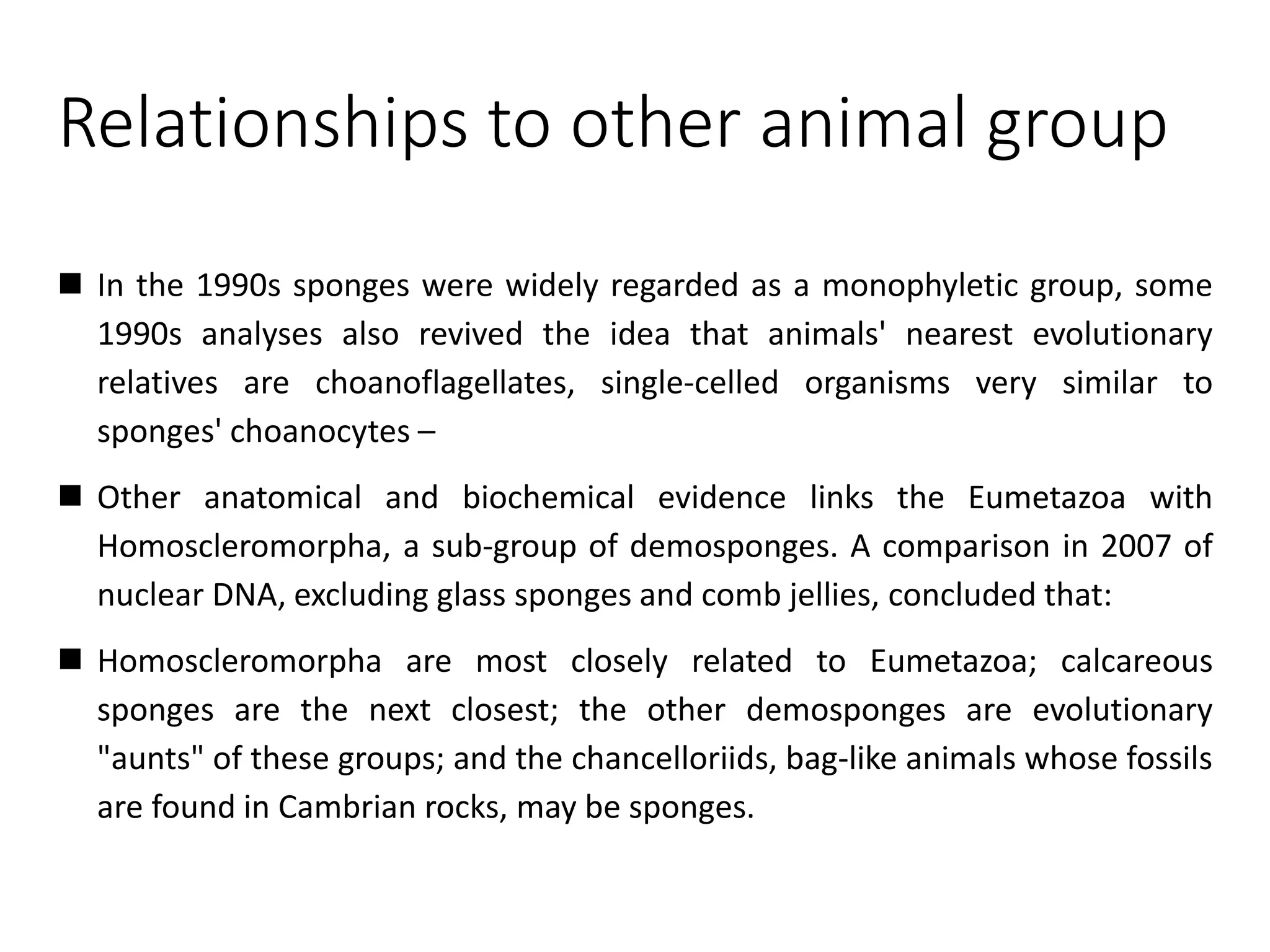 Relationships to other animal group
 In the 1990s sponges were widely regarded as a monophyletic group, some
1990s analyses also revived the idea that animals' nearest evolutionary
relatives are choanoflagellates, single-celled organisms very similar to
sponges' choanocytes –
 Other anatomical and biochemical evidence links the Eumetazoa with
Homoscleromorpha, a sub-group of demosponges. A comparison in 2007 of
nuclear DNA, excluding glass sponges and comb jellies, concluded that:
 Homoscleromorpha are most closely related to Eumetazoa; calcareous
sponges are the next closest; the other demosponges are evolutionary
"aunts" of these groups; and the chancelloriids, bag-like animals whose fossils
are found in Cambrian rocks, may be sponges.
 