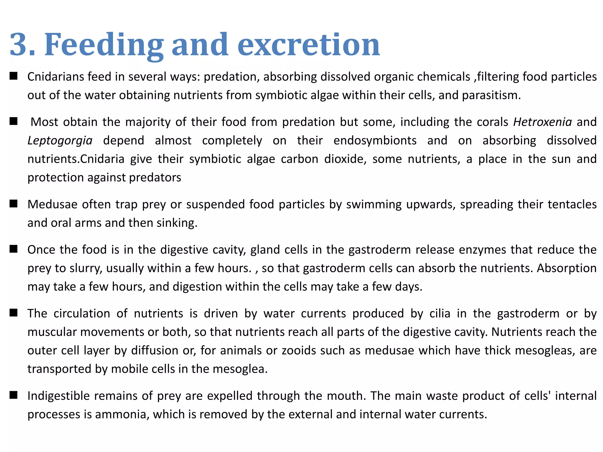 3. Feeding and excretion
 Cnidarians feed in several ways: predation, absorbing dissolved organic chemicals ,filtering food particles
out of the water obtaining nutrients from symbiotic algae within their cells, and parasitism.
 Most obtain the majority of their food from predation but some, including the corals Hetroxenia and
Leptogorgia depend almost completely on their endosymbionts and on absorbing dissolved
nutrients.Cnidaria give their symbiotic algae carbon dioxide, some nutrients, a place in the sun and
protection against predators
 Medusae often trap prey or suspended food particles by swimming upwards, spreading their tentacles
and oral arms and then sinking.
 Once the food is in the digestive cavity, gland cells in the gastroderm release enzymes that reduce the
prey to slurry, usually within a few hours. , so that gastroderm cells can absorb the nutrients. Absorption
may take a few hours, and digestion within the cells may take a few days.
 The circulation of nutrients is driven by water currents produced by cilia in the gastroderm or by
muscular movements or both, so that nutrients reach all parts of the digestive cavity. Nutrients reach the
outer cell layer by diffusion or, for animals or zooids such as medusae which have thick mesogleas, are
transported by mobile cells in the mesoglea.
 Indigestible remains of prey are expelled through the mouth. The main waste product of cells' internal
processes is ammonia, which is removed by the external and internal water currents.
 