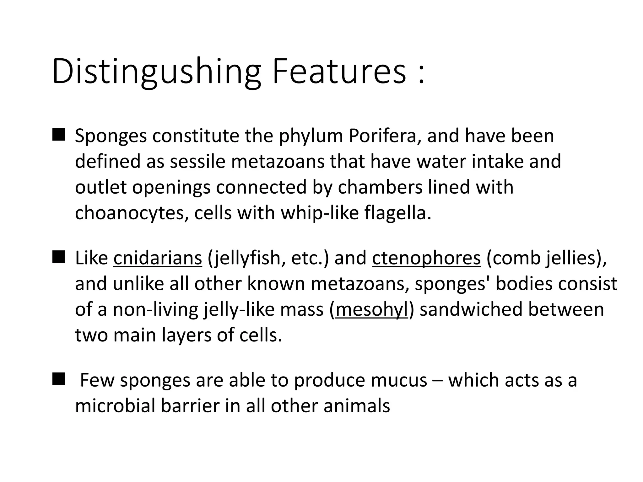 Distingushing Features :
 Sponges constitute the phylum Porifera, and have been
defined as sessile metazoans that have water intake and
outlet openings connected by chambers lined with
choanocytes, cells with whip-like flagella.
 Like cnidarians (jellyfish, etc.) and ctenophores (comb jellies),
and unlike all other known metazoans, sponges' bodies consist
of a non-living jelly-like mass (mesohyl) sandwiched between
two main layers of cells.
 Few sponges are able to produce mucus – which acts as a
microbial barrier in all other animals
 